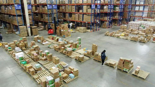 河南冷链产业崛起助力食品业腾飞 4000亿产值目标指日可待