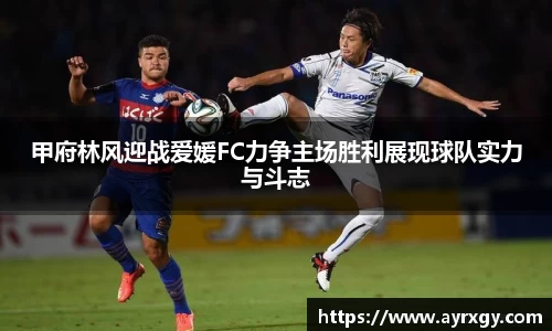 甲府林风迎战爱媛FC力争主场胜利展现球队实力与斗志